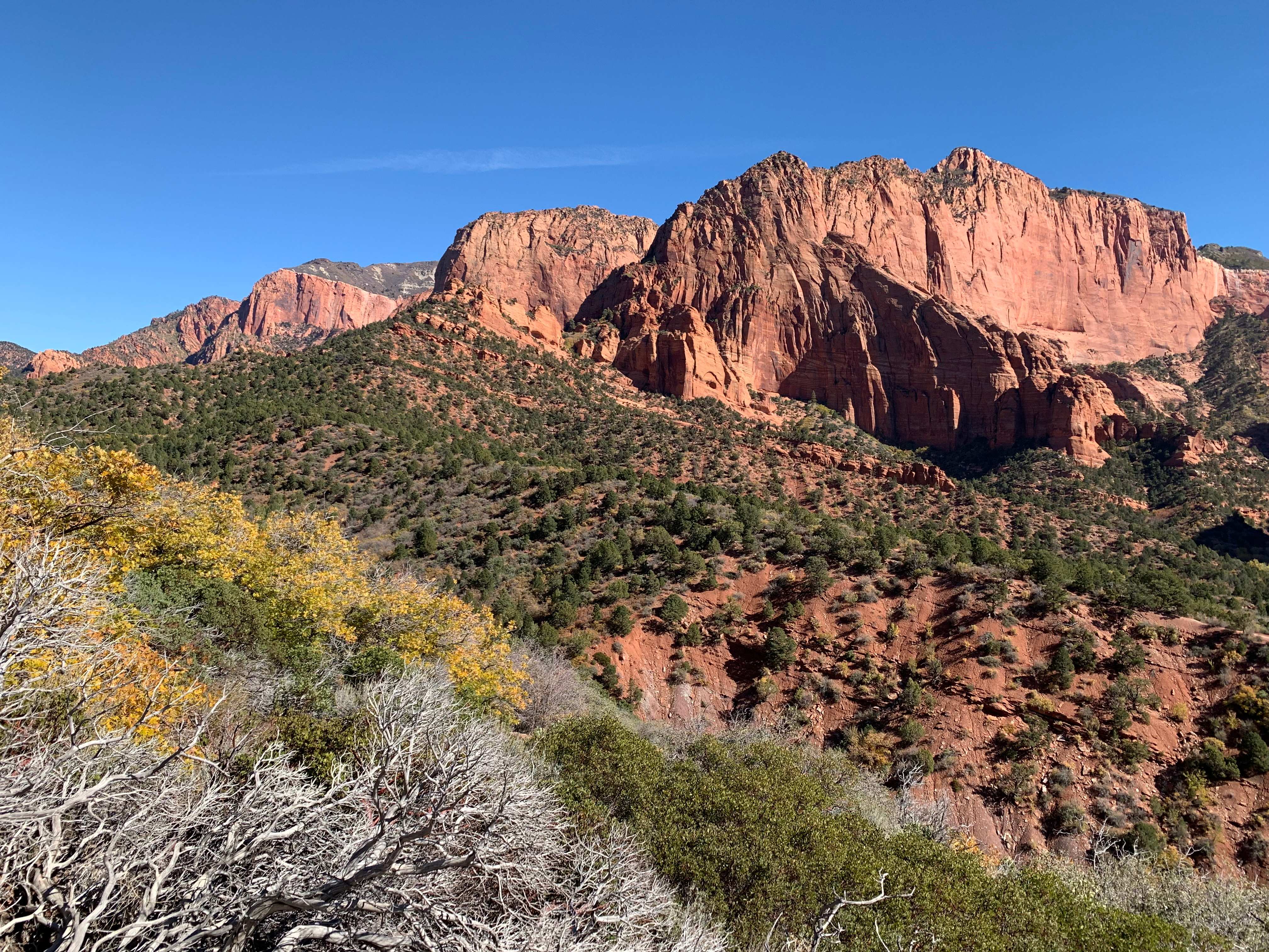 Zion NP